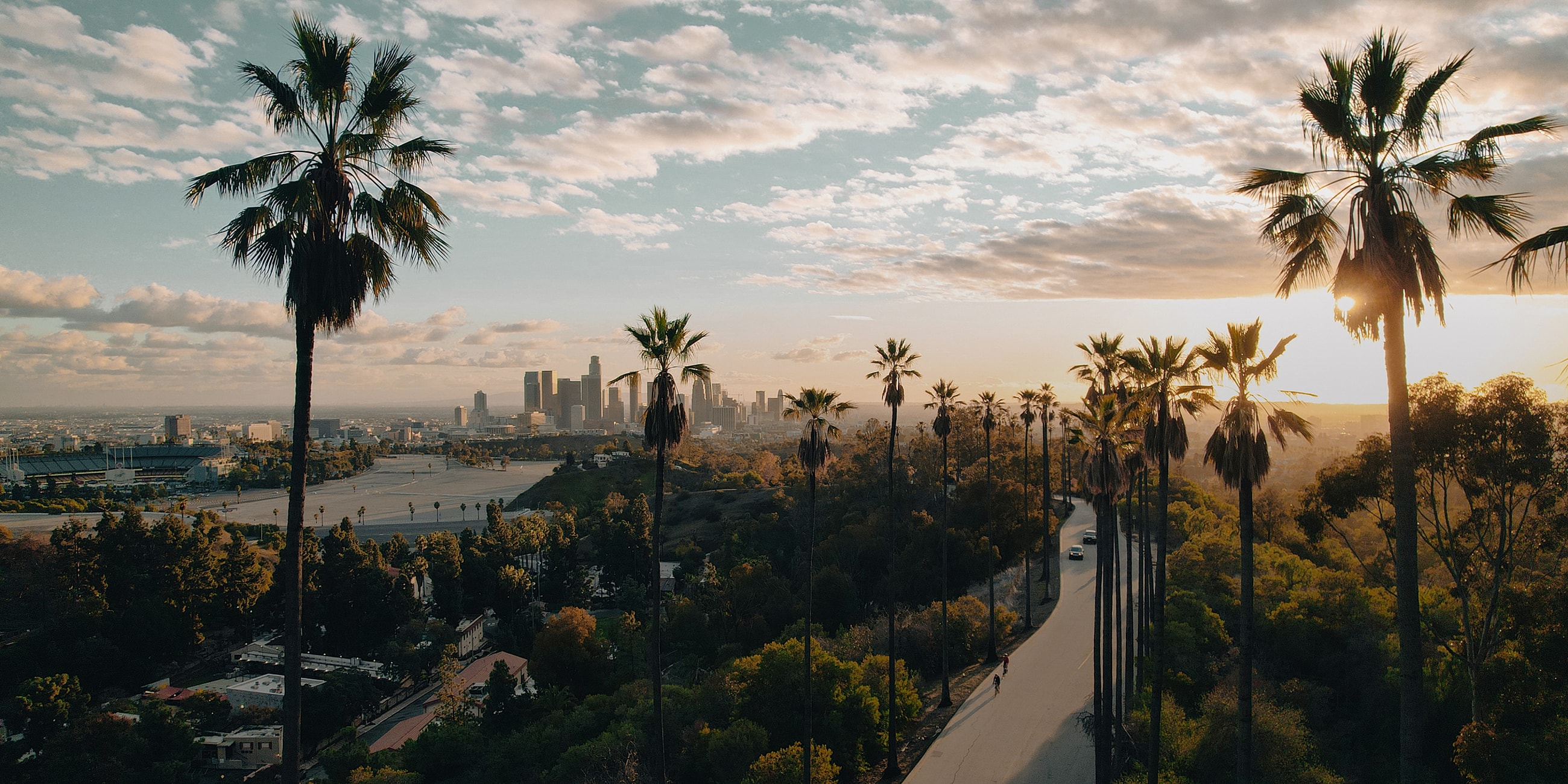Palm trees with a sunset city skyline backdrop.